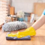 Professional regular cleaning service living room