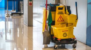 Professional Cleaning Services