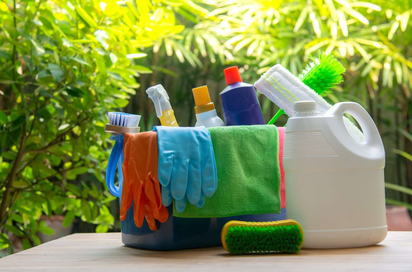 Understanding Eco-Friendly Cleaning Certifications in Canada